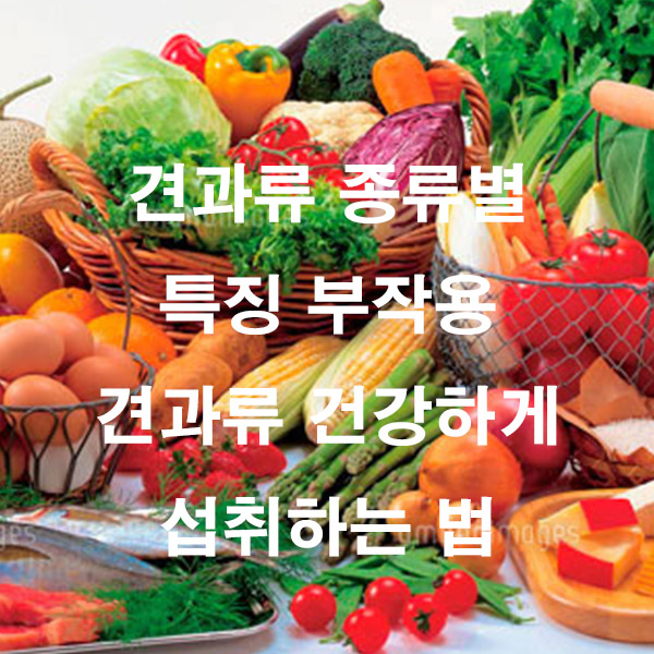 견과류 종류별 특징 부작용 견과류 건강하게 섭취하는 법