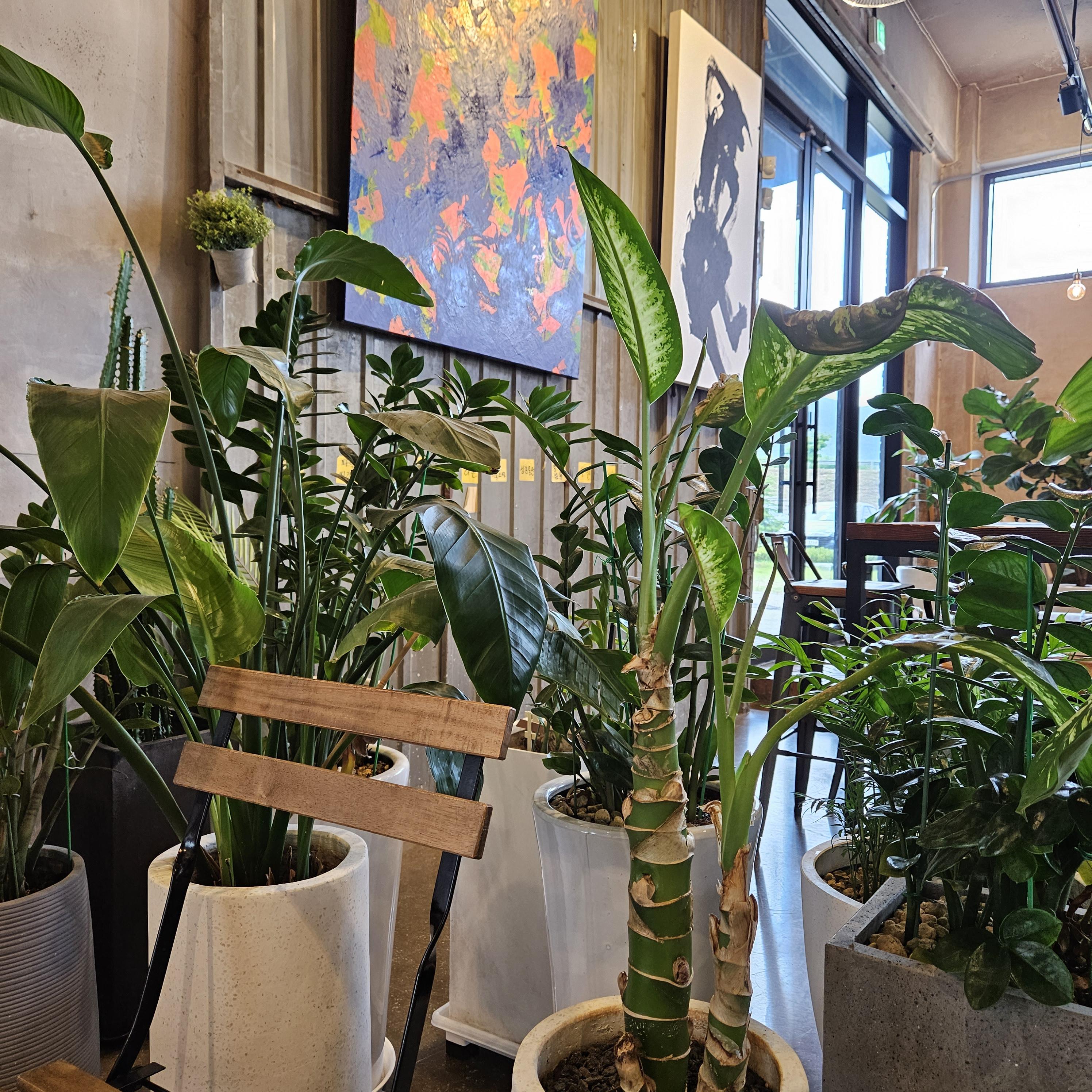 어가길 베이커리