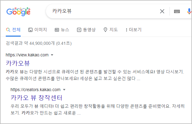 카카오뷰 검색하기