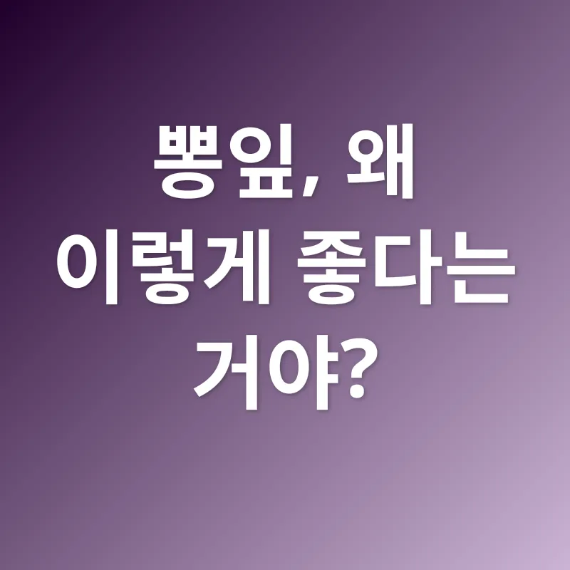 뽕잎의 효능_1