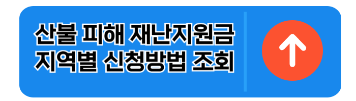 산불피해 재난지원금 30만원