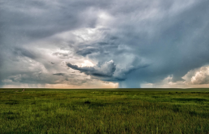 부산 생활지원 정보와 온누리상품권 사용처 정리