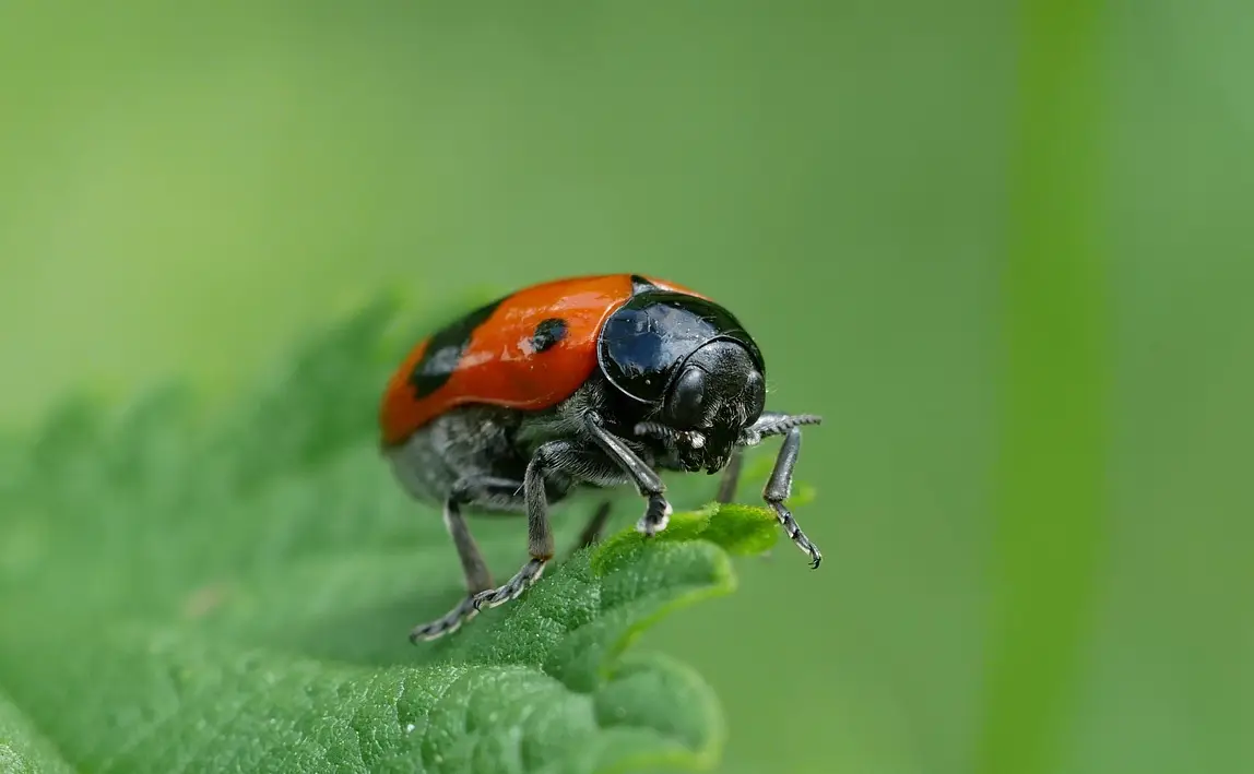 손해평가사 시험일정 시험과목 합격률