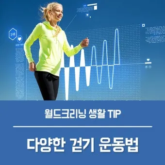 걷기운동 효과 좋은점 놀라운 효능 방법_17