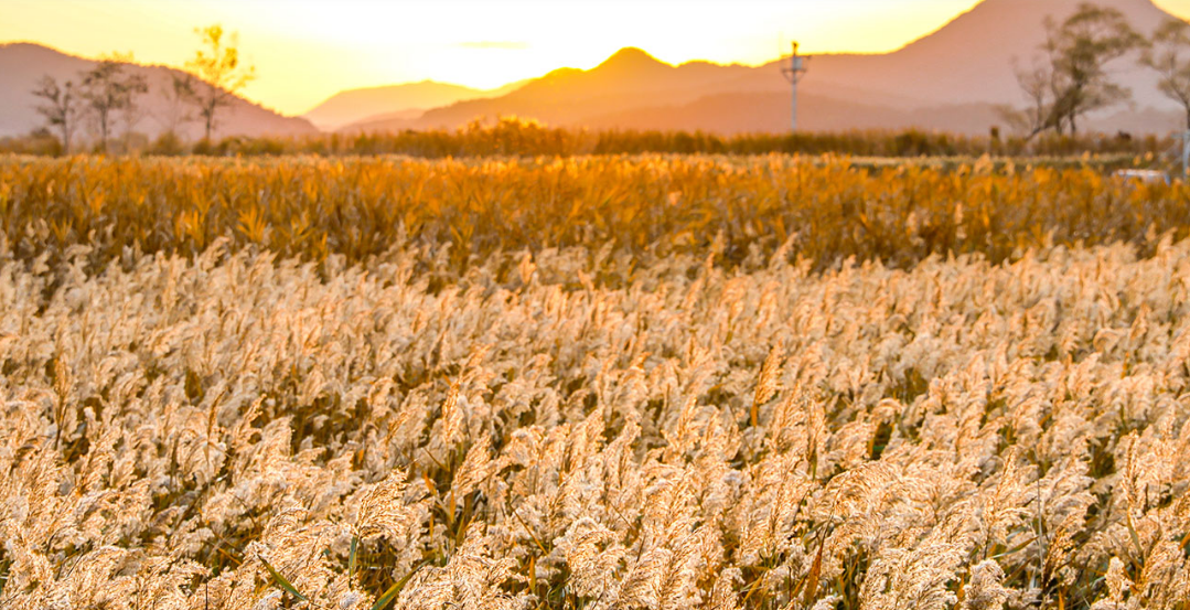 순천만 습지공우ㅏㅓㄴ