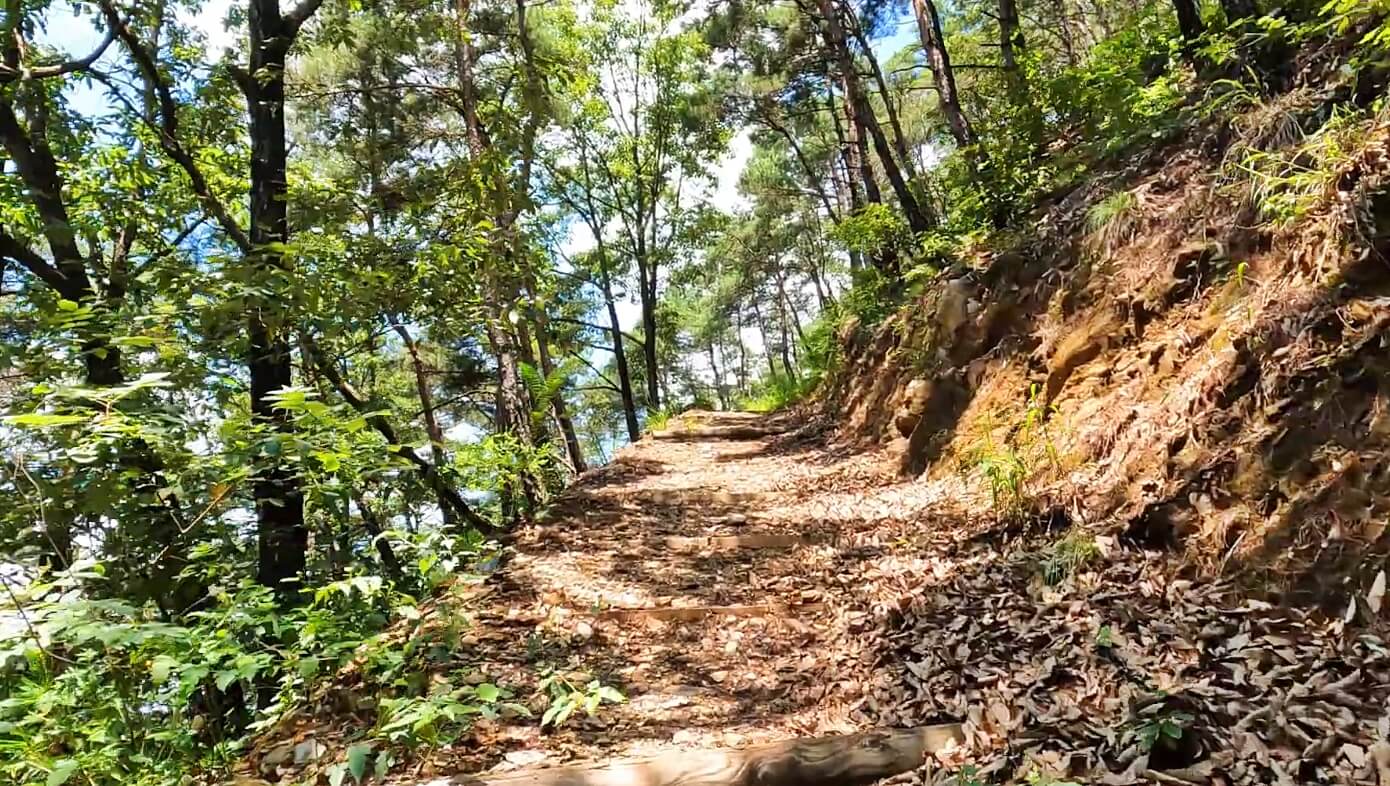어깨산