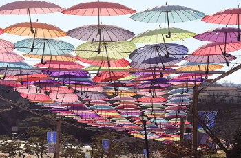 허브아일랜드 라벤더 축제_6