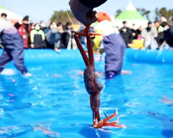 영덕 대게축제_28