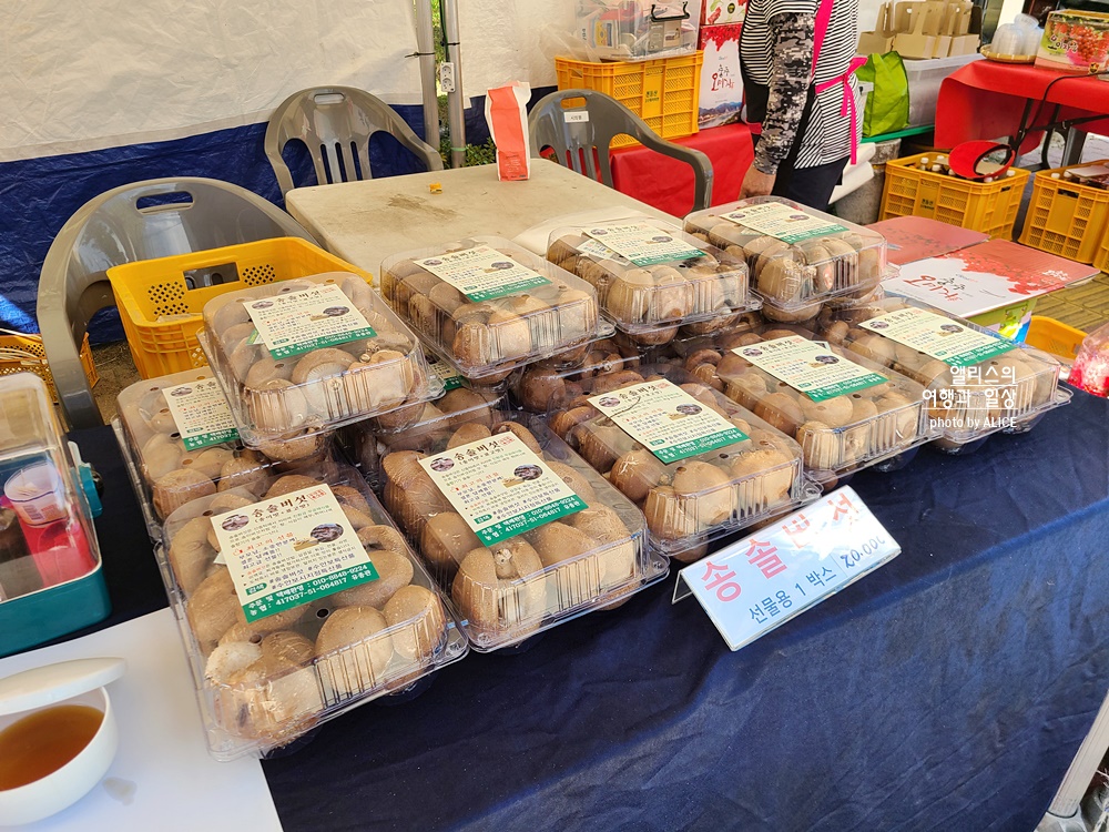 국내온천 여행 2022 수안보 온천축제 3일차 참여 관람 후기