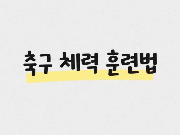 축구 체력 훈련법