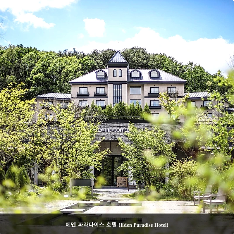 에덴 파라다이스 호텔 (Eden Paradise Hotel)_1