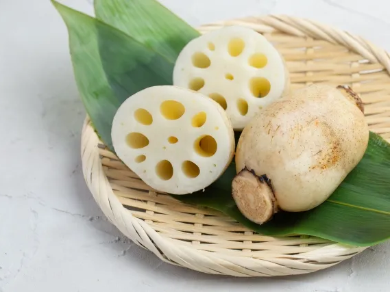 전통 한약재 연근