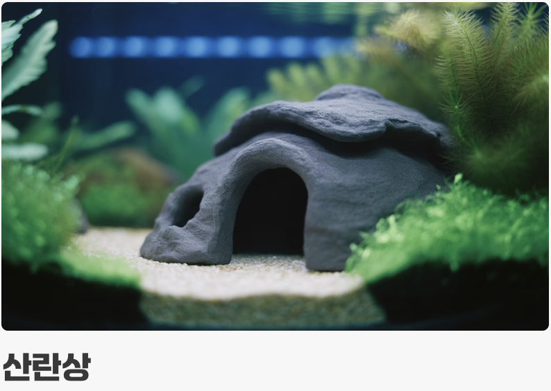 어항 - &amp;#39;숨을 곳&amp;#39;이 많은 아늑한 집