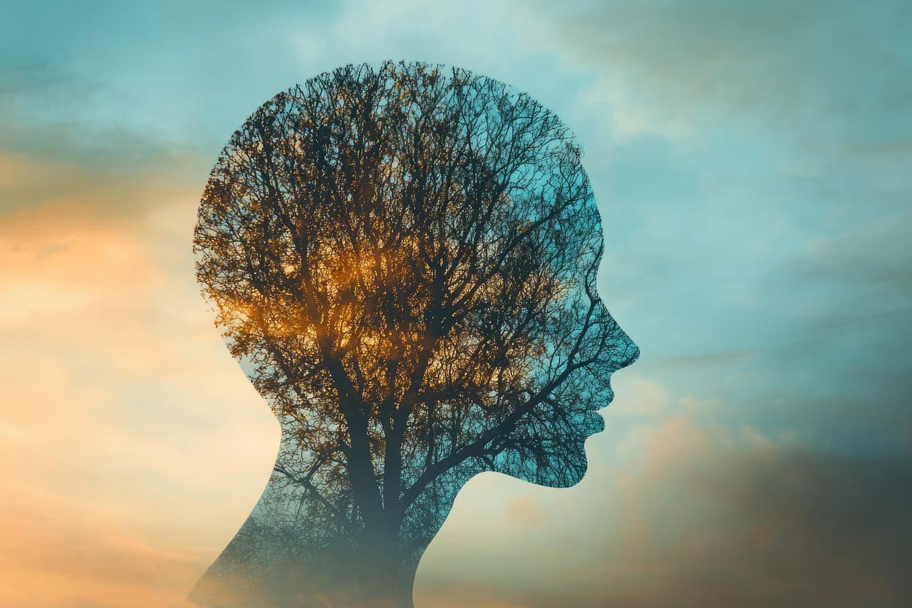 단기집중 vs. 장기 집중: 두 가지 집중력을 극대화하는 법