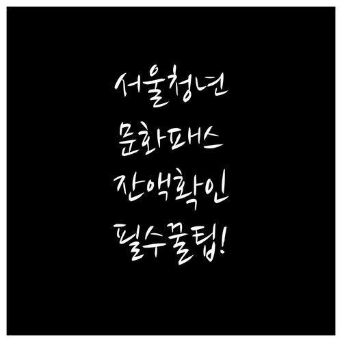 청년몽땅정보통에서 서울청년문화패스 남..