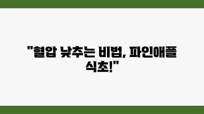 혈압 낮추는 파인애플 식초 간단히 만드는 법
