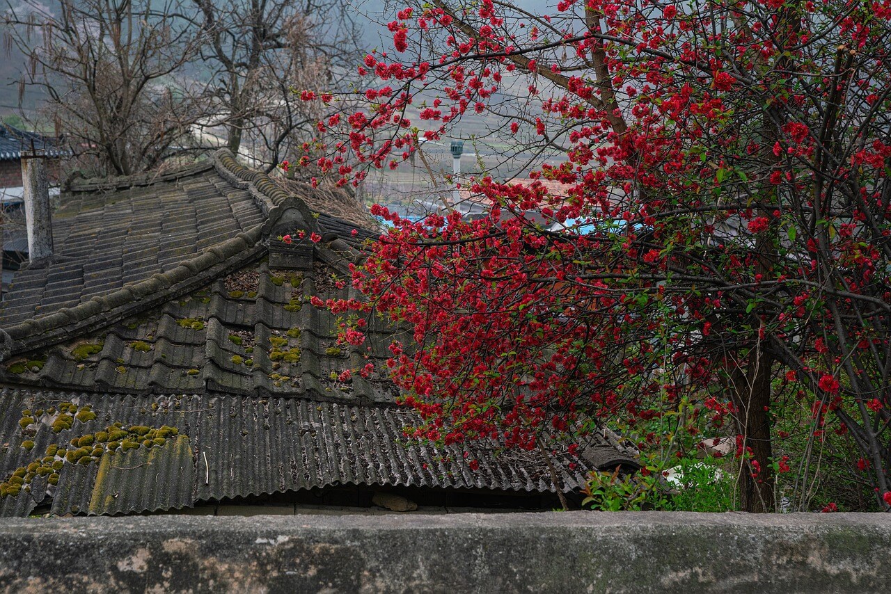 고향사랑기부제 세액공제
