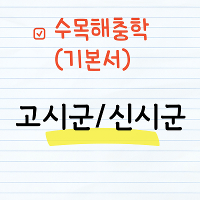 고시군 / 신시군