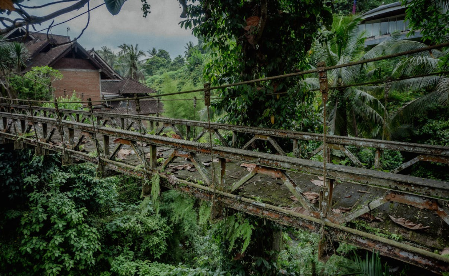 발리 우붓 다리