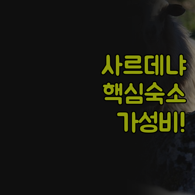사르데냐 팔라우 호텔 4곳 Borgo..