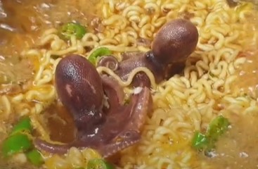 매콤 쭈꾸미 볶음 레시피 다양한 쭈꾸미 요리