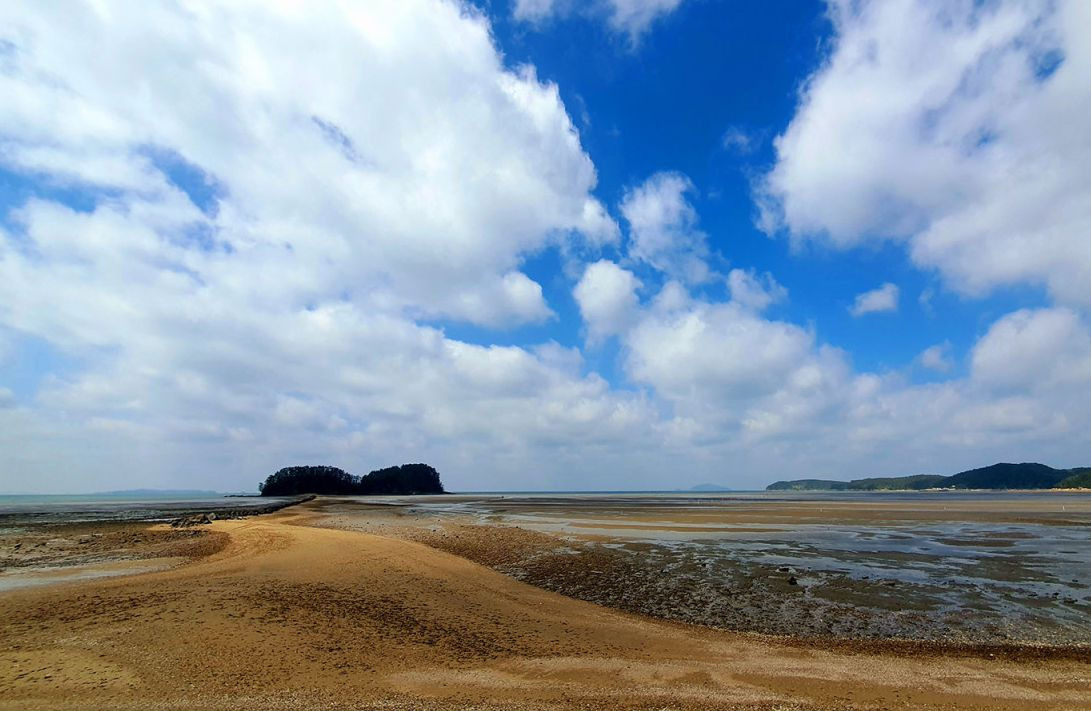 선도리갯벌체험장