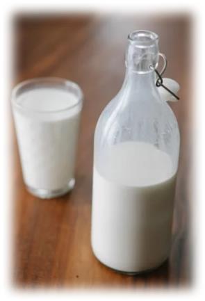 단순 탄수화물 우유 (유당)