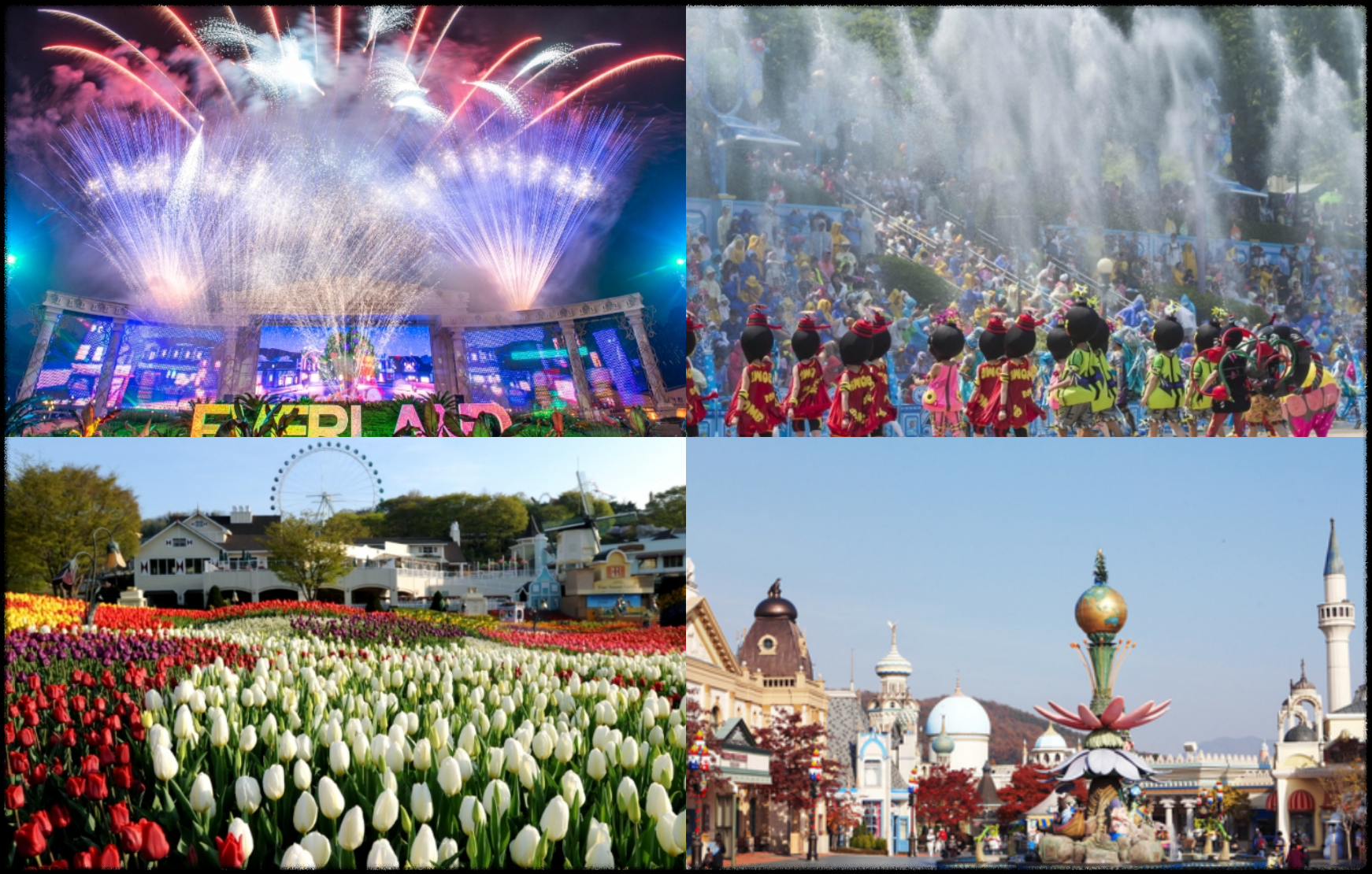 에버랜드 자유이용권 할인