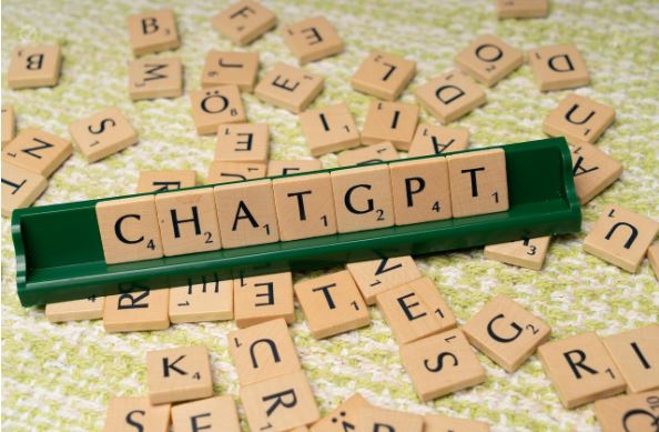 사이드프로젝트 툴 관련 사진