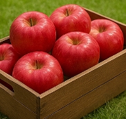 사과 종류