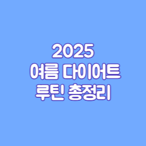 2025 여름 다이어트 루틴 총정리