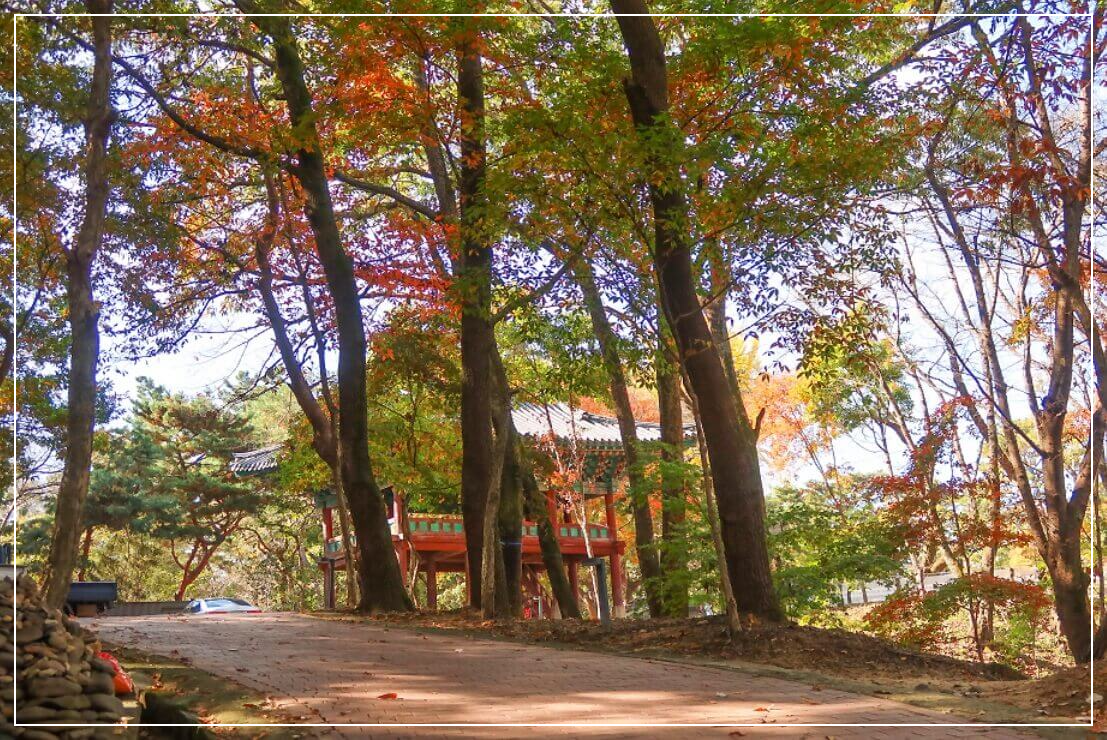 부여 가볼만한곳 베스트10 고란사