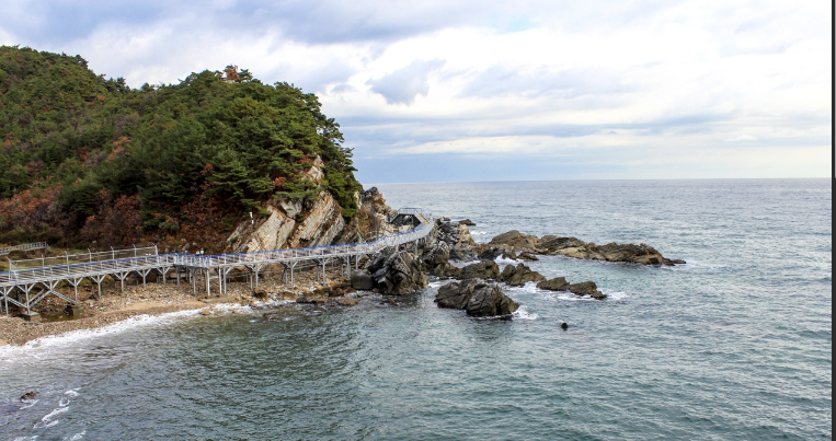 동해바다 바로 옆을 지나는 레일바이크 모습