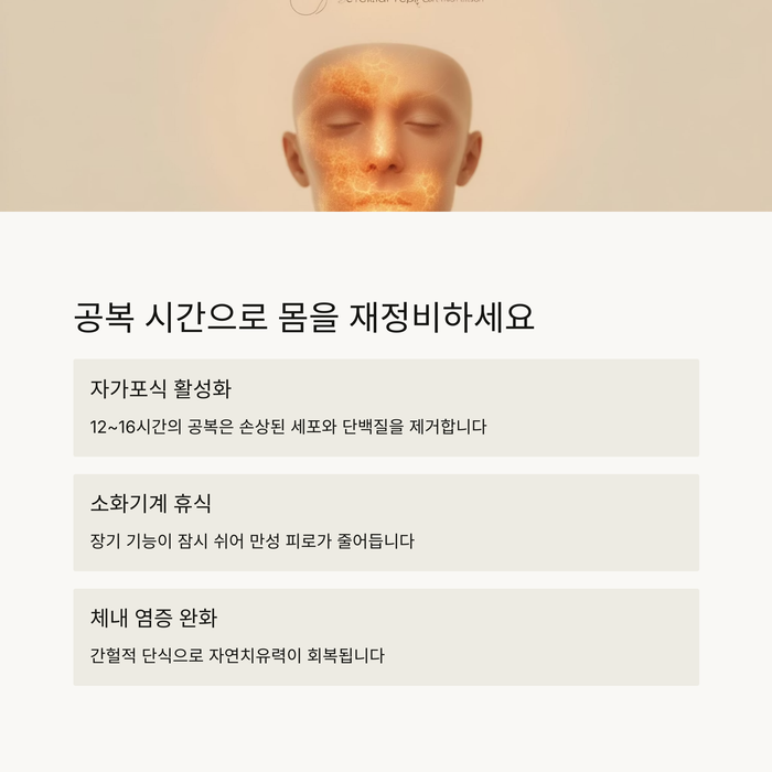 건강 의료
