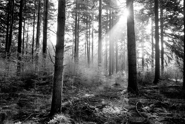 초미세먼지 심한 날, 건강 지키는 7가지 생활 수칙