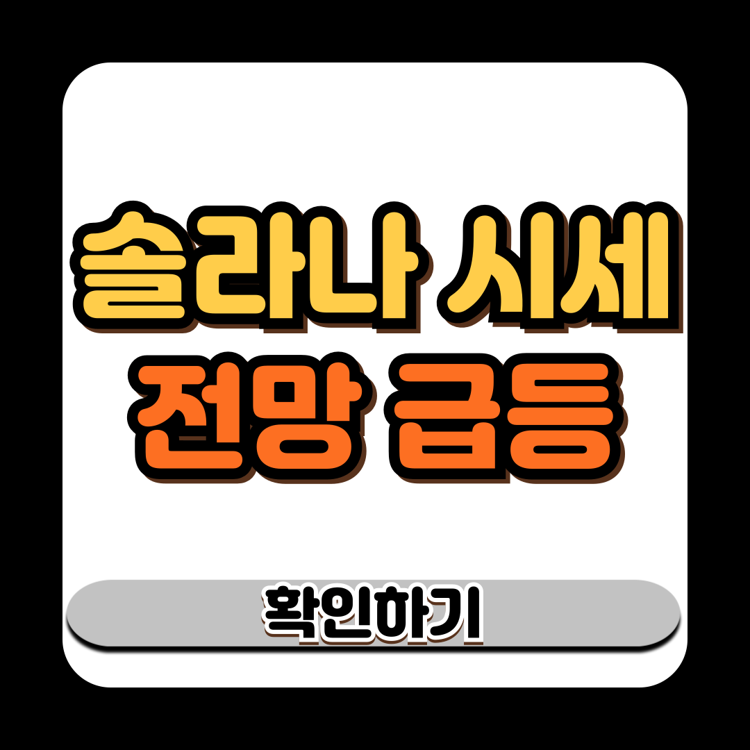 솔라나 시세 전망 급등