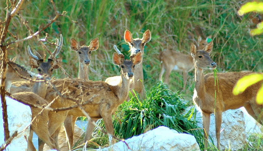 겨울 해외여행 추천
