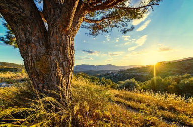 햇빛 노출 시간과 수면 리듬 변화