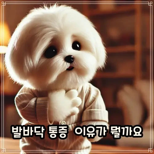 족저근막염-정형외과-내원