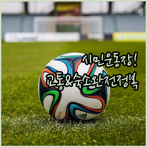 대구시민운동장 시즌별 행사 일정과 대..
