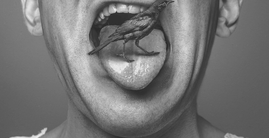 남자의 혓바닥 위에 참새가 앉아 있다