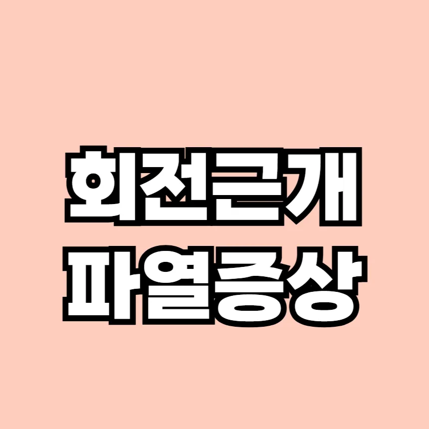 회전근개파열 증상