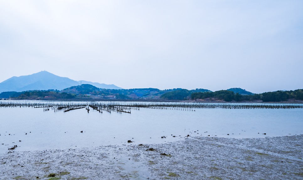 경남 사천 가볼만한곳 (비토섬 신우리조트)