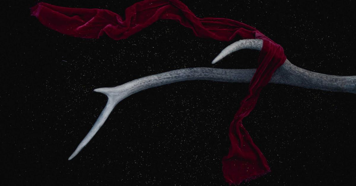 person looking at AI budget app on smartphone, smiling, with saving money concept