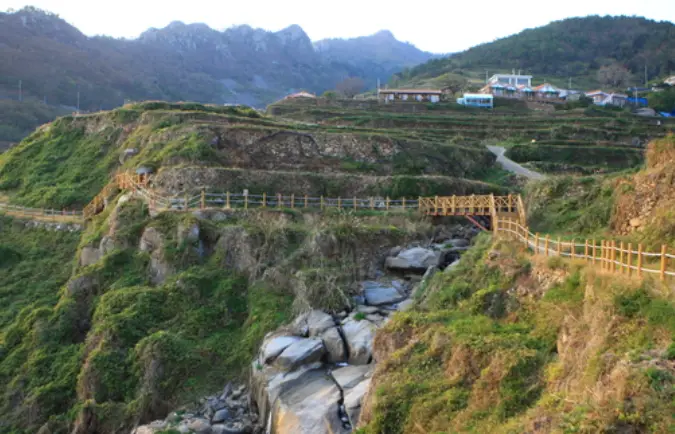 멀리서 바라본 다랭이 논밭 옆 나무손잡이와 길