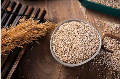 퀴노아, 완전 단백질의 황금 곡물