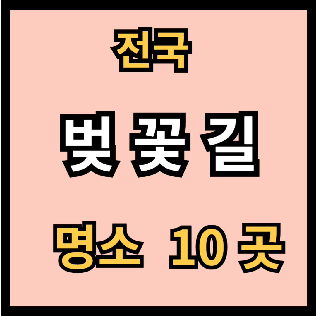 벚꽃길