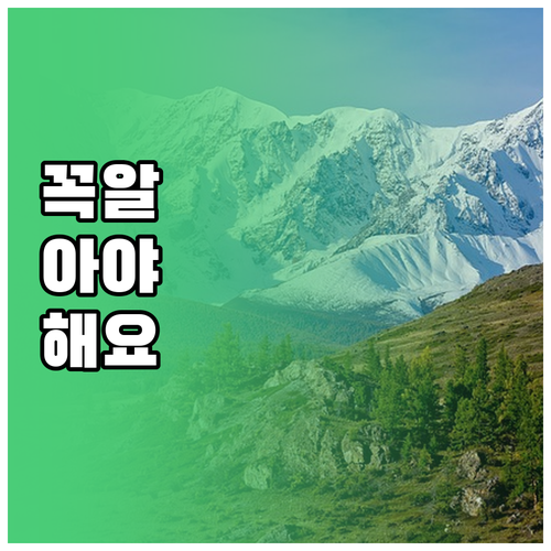 바쁜 당신을 위한 아침 운동법: 맨몸..