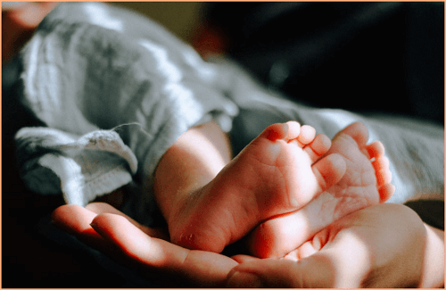 고용보험 미적용자