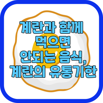 계란과 함께 먹으면 안되는 음식&#44; 계란의 유통기한